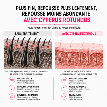 Cyperus Rotundus Oil™ | Pour une peau douce et sans irritation