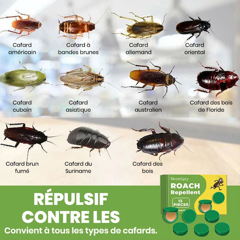 Roach Repellent – Dites adieu aux cafards sans effort